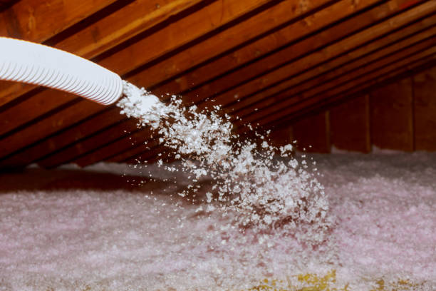 Best Commercial Insulation in Penitas, TX